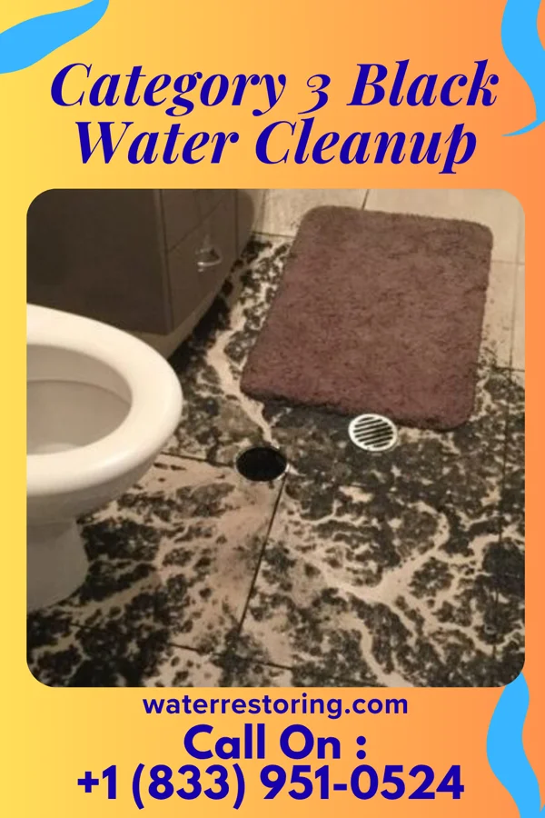 Category 3 Black Water Cleanup in Northampton, MA