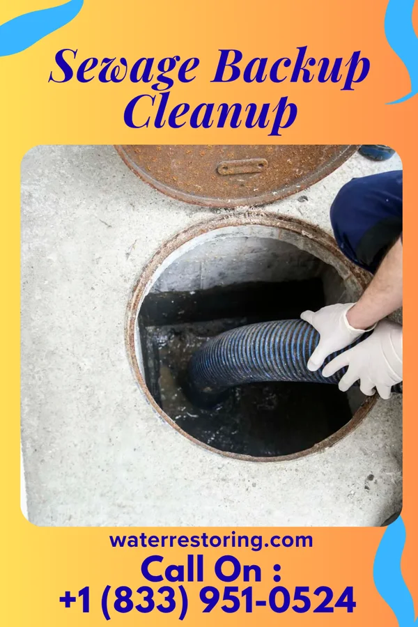Sewage Backup Cleanup in Northampton, MA