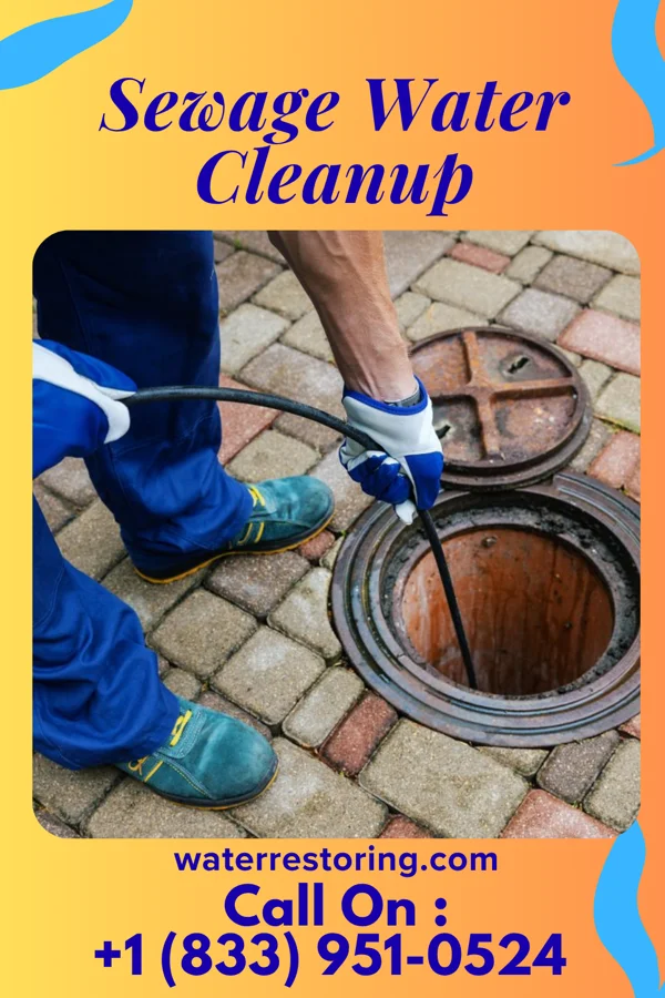 Sewage Water Cleanup in Northampton, MA